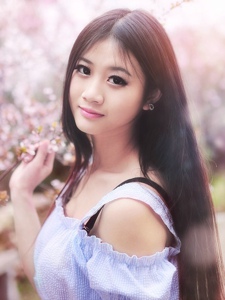 盈彩体育