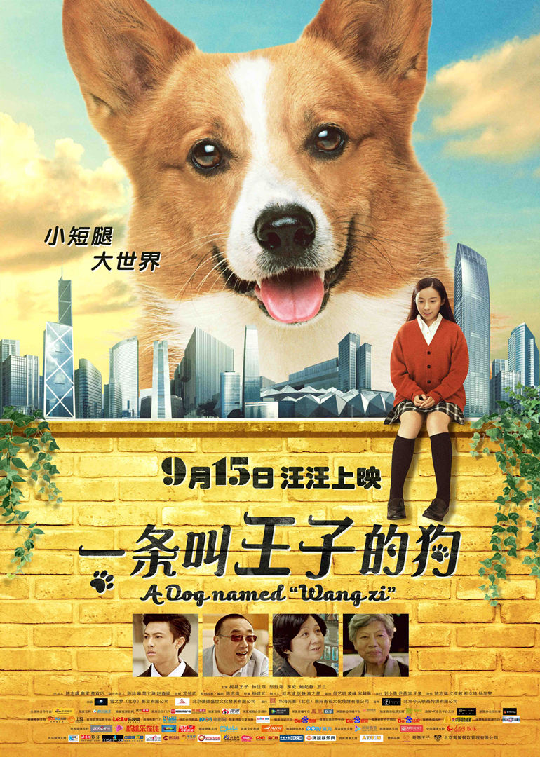 开云手机app官方下载