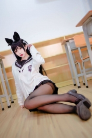 彩网站
